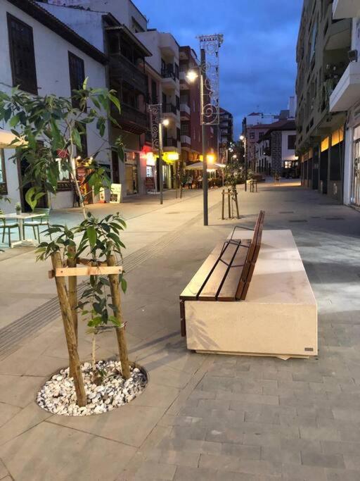 Estudio Con Amplia Terraza En Puerto De La Cruz Luaran gambar